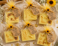 Custom Party Favor Soaps – Handcrafted Goat Milk Bars