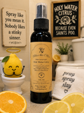 Bless This Mess Holy Water Citrus Before You Go Spray 4oz bottle