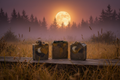 Fall Evening Moon Scene